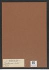 Isodicus sp. (de-Toni-Nr.: Genus 181) Zeichnungen Sammlung Grunow Mappe 04407 (Herbarium_W_Grunow_drawings_Folder_04407)